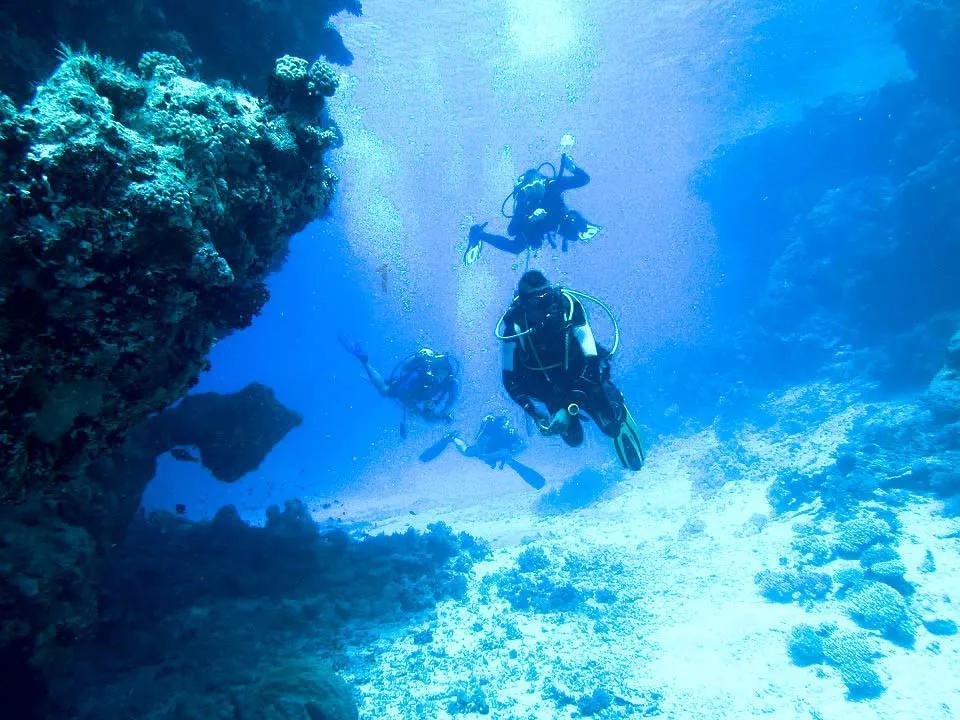 海盗的寻宝之旅